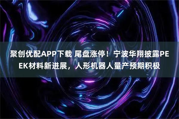 聚创优配APP下载 尾盘涨停！宁波华翔披露PEEK材料新进展，人形机器人量产预期积极