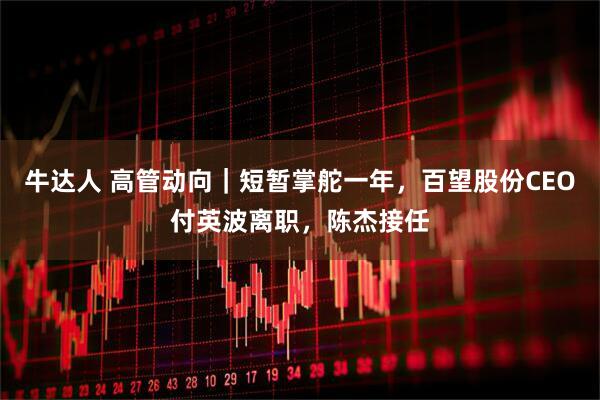 牛达人 高管动向｜短暂掌舵一年，百望股份CEO付英波离职，陈杰接任